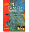 DESAFIOS BRASILEIROS NA ERA DOS GIGANTES
