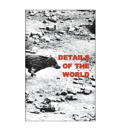 DETAILS OF THE WORLD