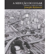 A SEDUCAO DO LUGAR : A HISTORIA E O FUTURO DA CIDADE