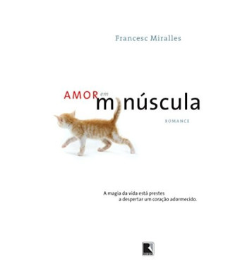AMOR EM MINUSCULA