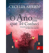 O ANO EM QUE TE CONHECI