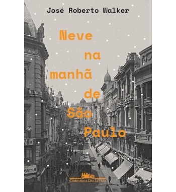 NEVE NA MANHA DE SAO PAULO
