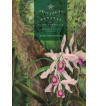 ORQUIDEAS NATIVAS DE FLORIANOPOLIS