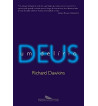 DEUS : UM DELIRIO
